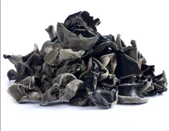 Black fungus