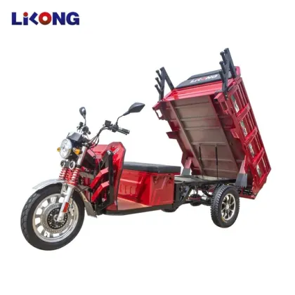 Zero Emission Electric Trike for Senior Citizens