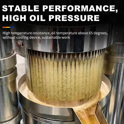 Hydraulic Sesame Oil Press Machine: Cold Press Hydraulic Oil Press Machine