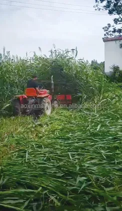 Mini Combine Harvester for Grains: Oats, Rice, Soybeans, Chili, Wheat, Highland Barley - Best Price