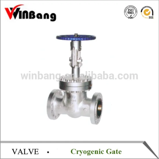 Winbang Cryogenic Gate Valve