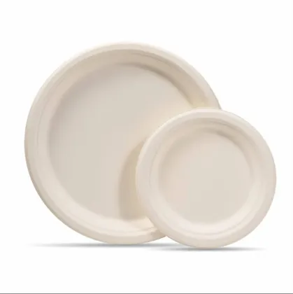 100% Biodegradable disposable tableware bagasse plates