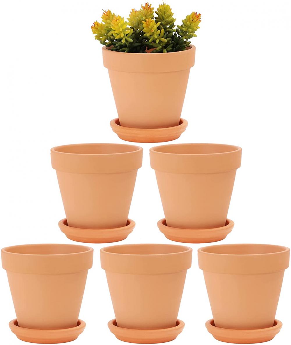 Plavier de poterie en argile de 5 pouces Pots de fleurs cactus