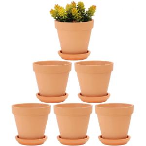 Plavier de poterie en argile de 5 pouces Pots de fleurs cactus