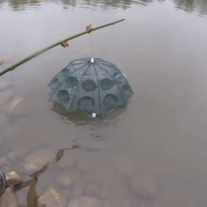 10 fish entrance umbrella shape cast fishing net