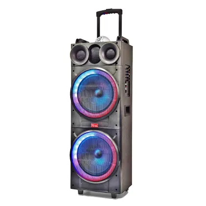 Wiz Connected Amplified Speaker 8 - Sound Speaker for Parties and Public Speaking