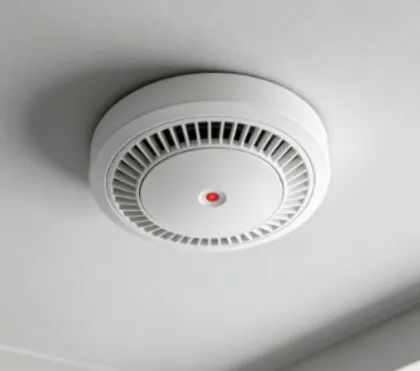 Smart home smoke alarm
