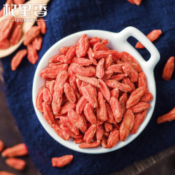Goji Berry Bersertifikat Organik