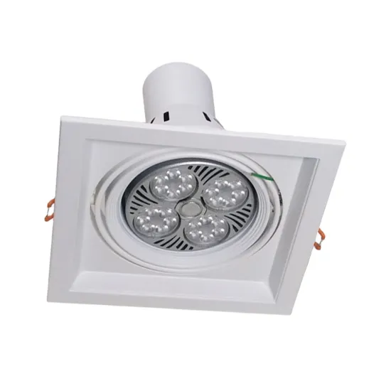 Hot Sales PAR 30 AR111 Track Light Fixture with 5 Yrs Warranty