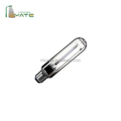 2000W High Pressure Sodium Lamps for Street Lighting: Traditional Sodium Bulbs in Tubular Oval Mode with Clear Glass