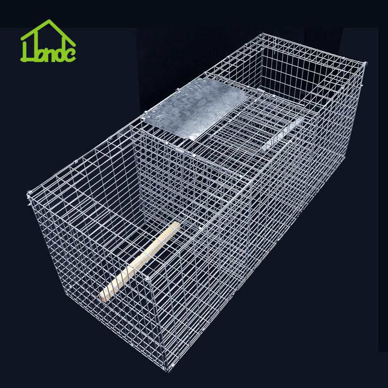 Collapsible Larsen Trap cage HD61245-2