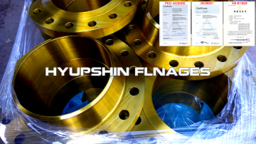 RF Weld Neck ANSI B16.5 FLANGE