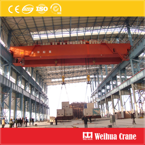 Double Trolley EOT Crane