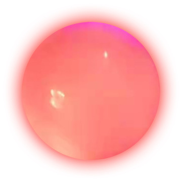 Custom Inflatable Christmas PVC Ball with LED Light: Perfect Kid Toy