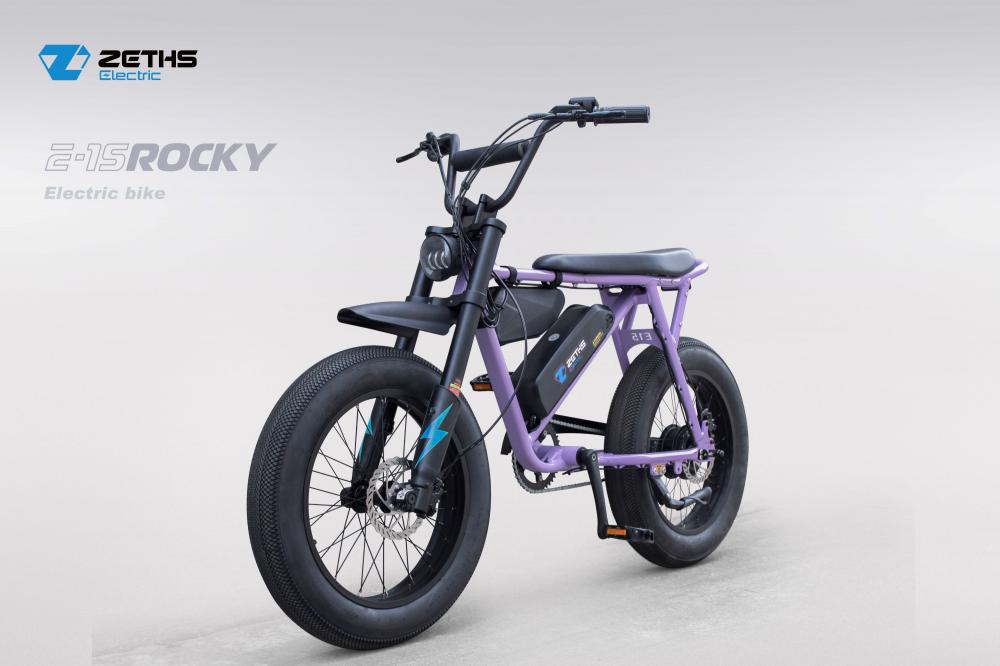 adult electric bicycle