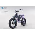 China Ebike powerful electric cycles Rocky Manufactory