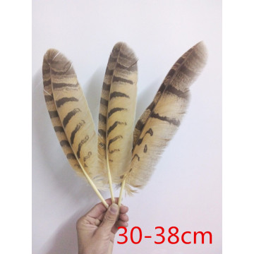 New! sale high quality owl feathers 10 pcs / lot, 12-15 "/ 30-38cm, as shown in the picture Ordered length