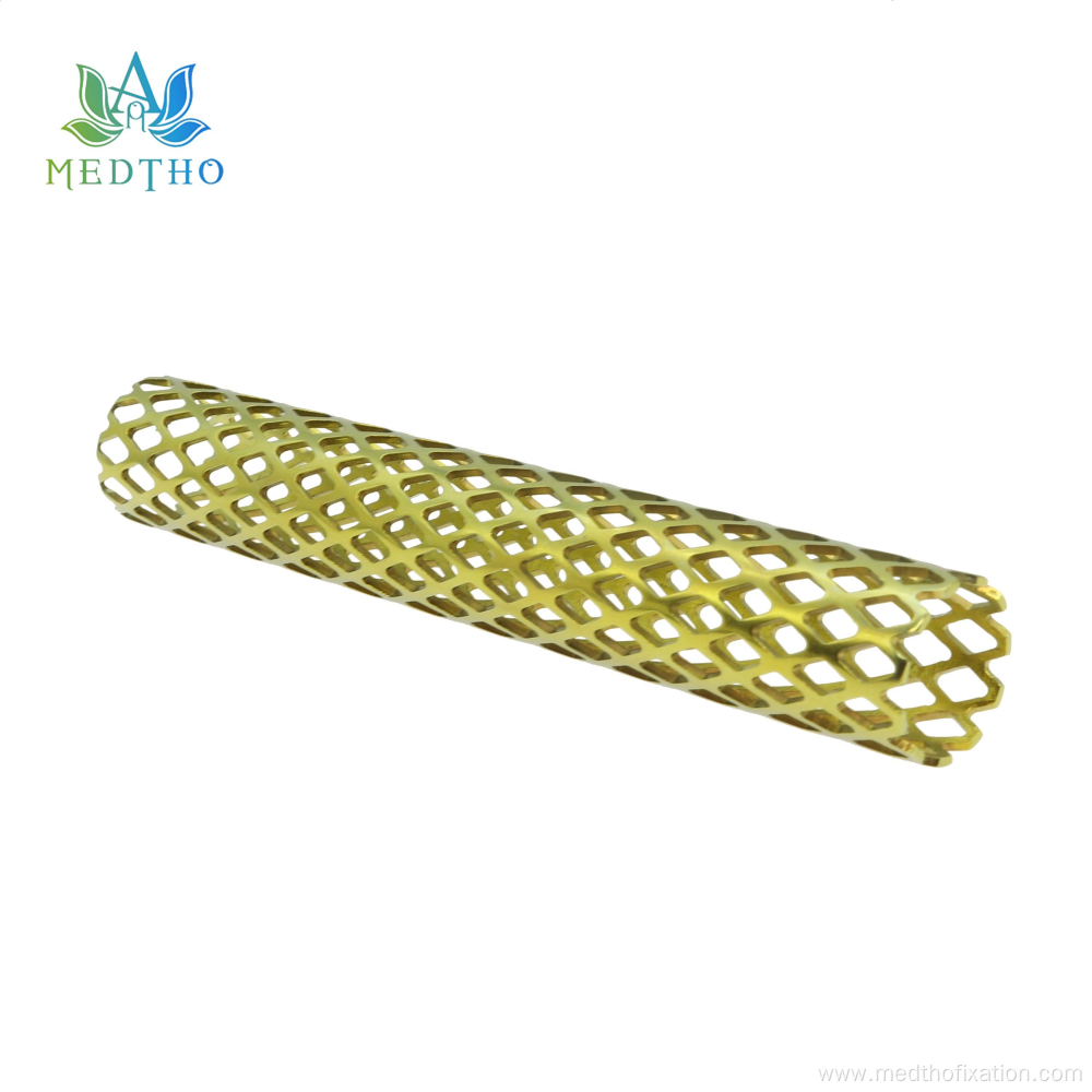 Titanium mesh cage