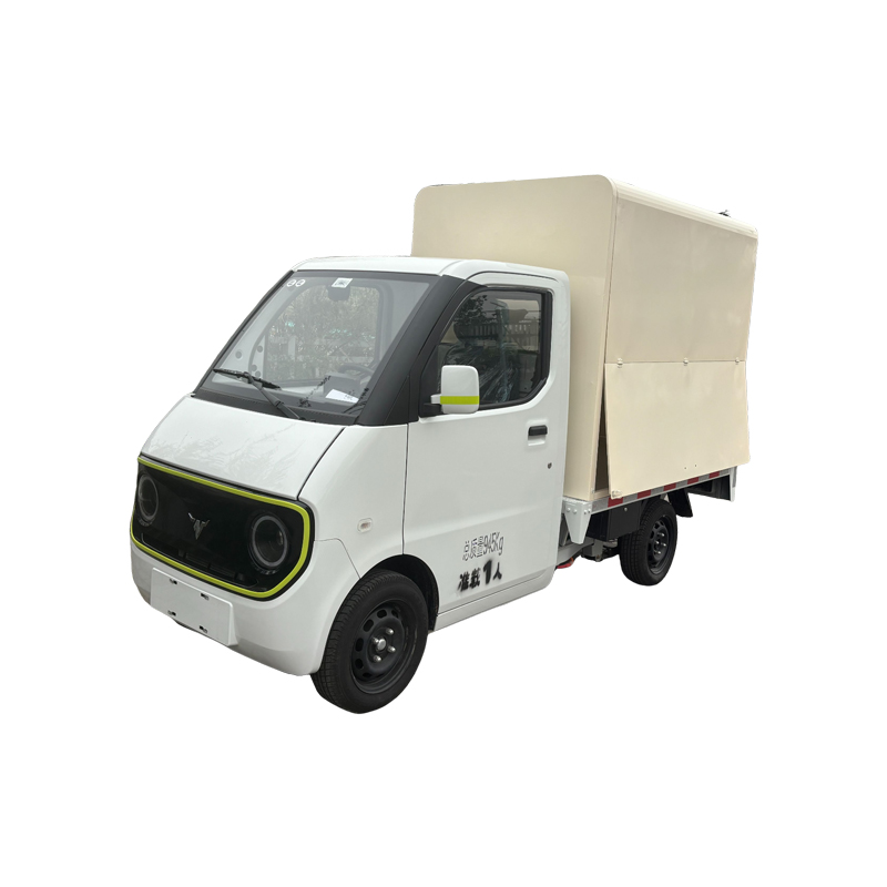 D02 Mobile electric vehicle sales