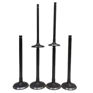 Factory Direct Sale Engine Valves for AZV/BKD/BMN Models: 03G109601B, 03G109601A Intake & 03G109611D Exhaust
