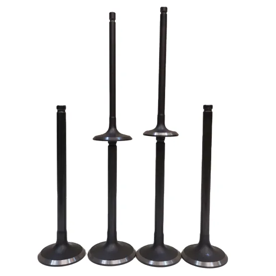 Factory Direct Sale Engine Valves for AZV/BKD/BMN Models: 03G109601B, 03G109601A Intake & 03G109611D Exhaust