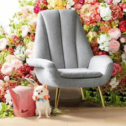 Smart Velvet Single Sofa with Stainless Steel Accents