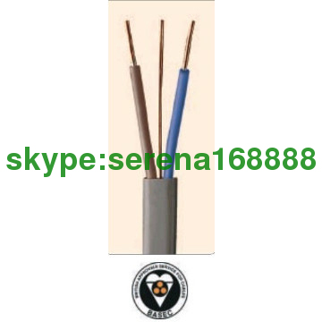 PVC Insulated Flat Twin and Earth Cable 6242Y
