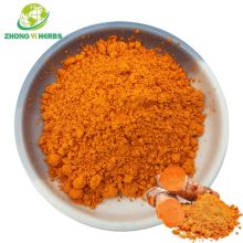 Turmeric Root Extract for Skin