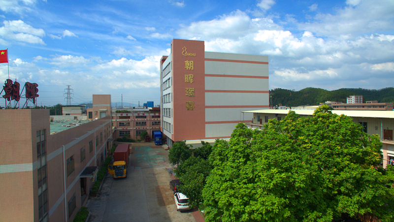 CHAOHUI company