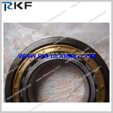 Single Row Cylindrical Roller Bearing SKF Nu222ecm/ C3 with Brass Cage (NU222ECM/C3)