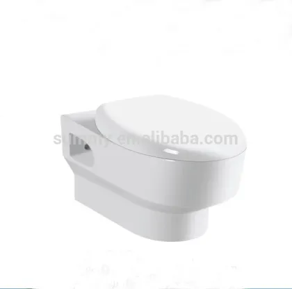 P-trap hung toilet
