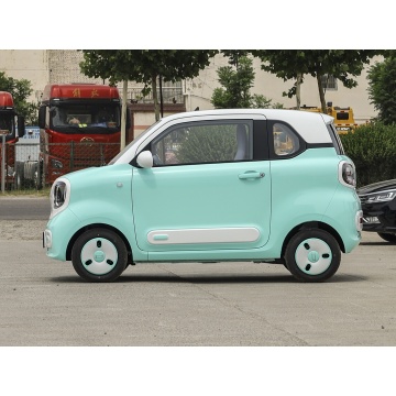 2024 New Energy Vehicles Micro Electric Vehicles Cheap Micro Electric Vehicles