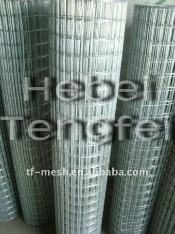 Strong Mesh Fencing ( Hot dipped galvanized welded mesh ISO 9001)