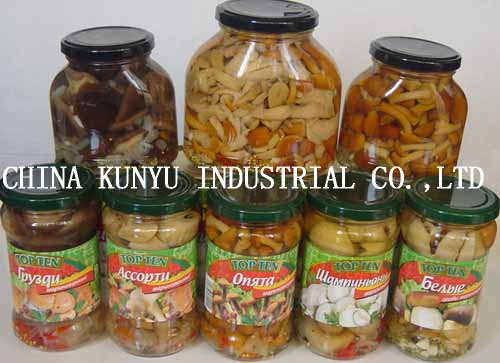 Canned Mushroom Pns with High Quality