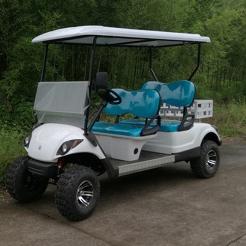 Carro de utilidad de golf con motor de 2 personas