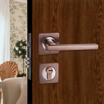 Expert Manufacturer of Security Door Lock (FDL77N)