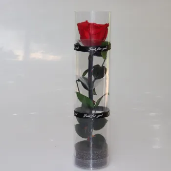 Long Stem Preserved Rose Bouquet Box for Decor