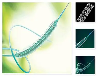 Medical Stent Delivery Tubing