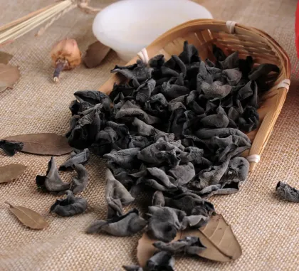 Basswood Black Fungus And White Mushroom