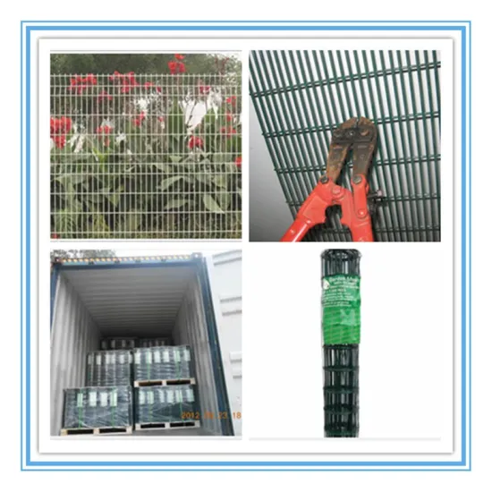 welded wire mesh fence/ galvanized welded wire mesh for fence
