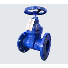 Ductile Iron Flange Gate Valve