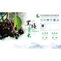 Longze Black Elderberry Fruit Juice Powder