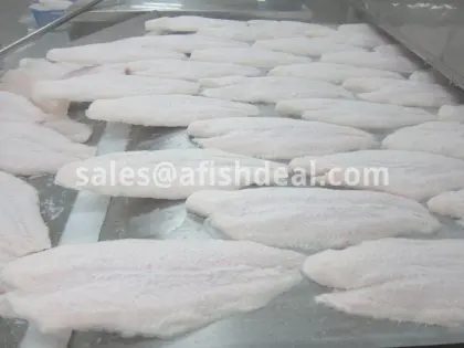 FROZEN PANGASIUS FISH - SWAI -  BASA