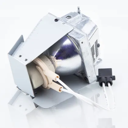 BL-FU195A/BL-FU195C Projector Bulb Lamp for OPTOMA HD142X
