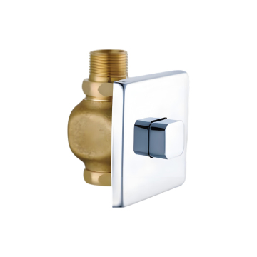 Brass Time-delay Valve for Bathroom Press Flushing Systems