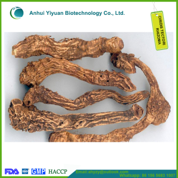 Iridis techori rhizoma/Chuanshegan