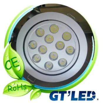 Professional 12W Ceiling Light
