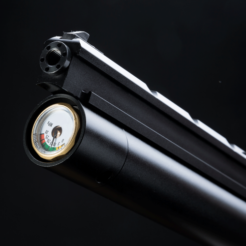 PCP Air Pistol PP700S-A