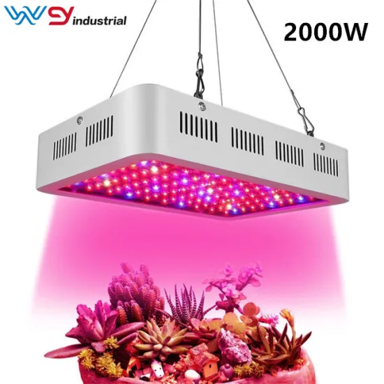 Best led grow light 2000w indoor pants