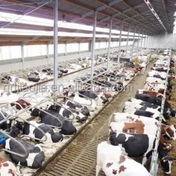 Double Free Stall Cattle Cubicles for Cow Dairy Farms